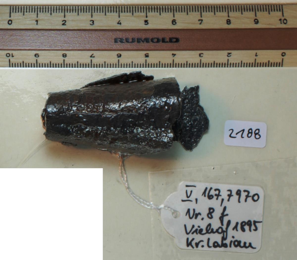Glocke vom Zaumzeug