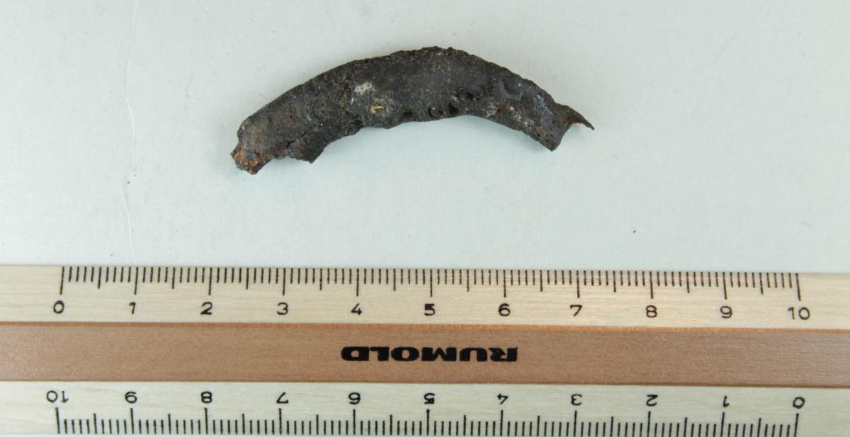 Trensenfragment