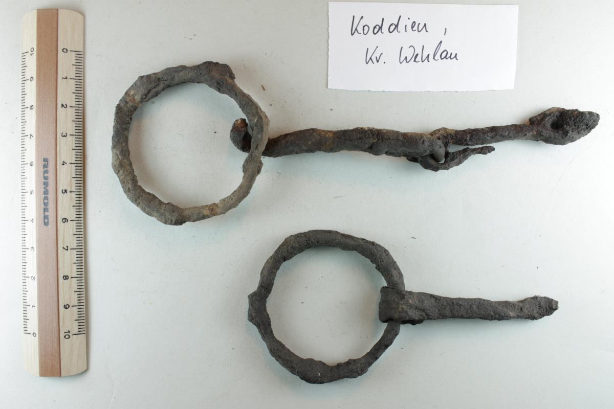Ringtrense