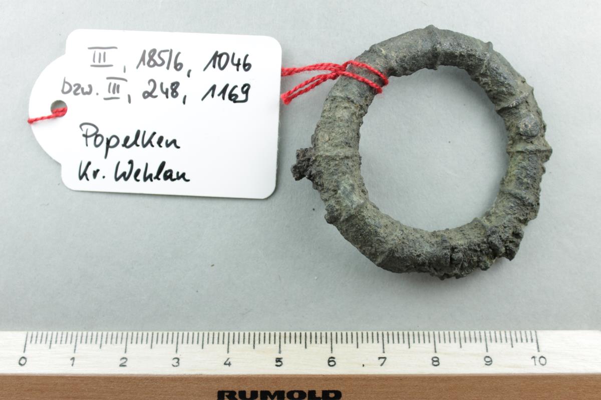Ringfibel