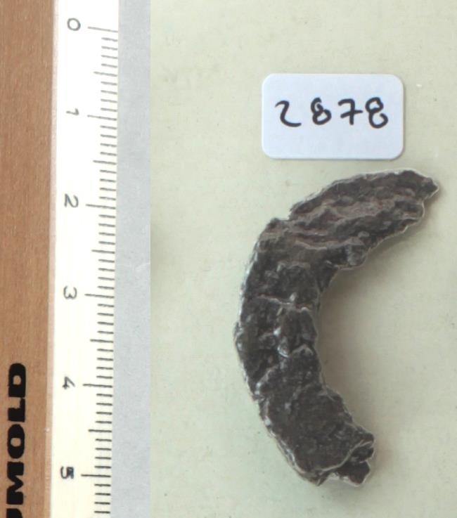 Trensenfragment