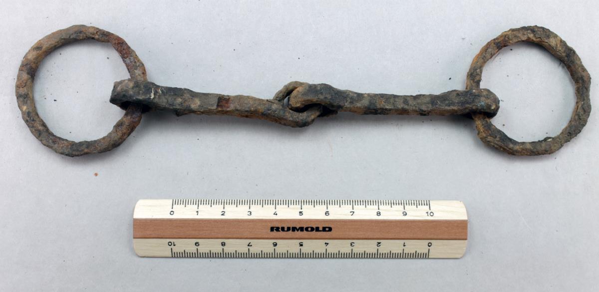 Ringtrense