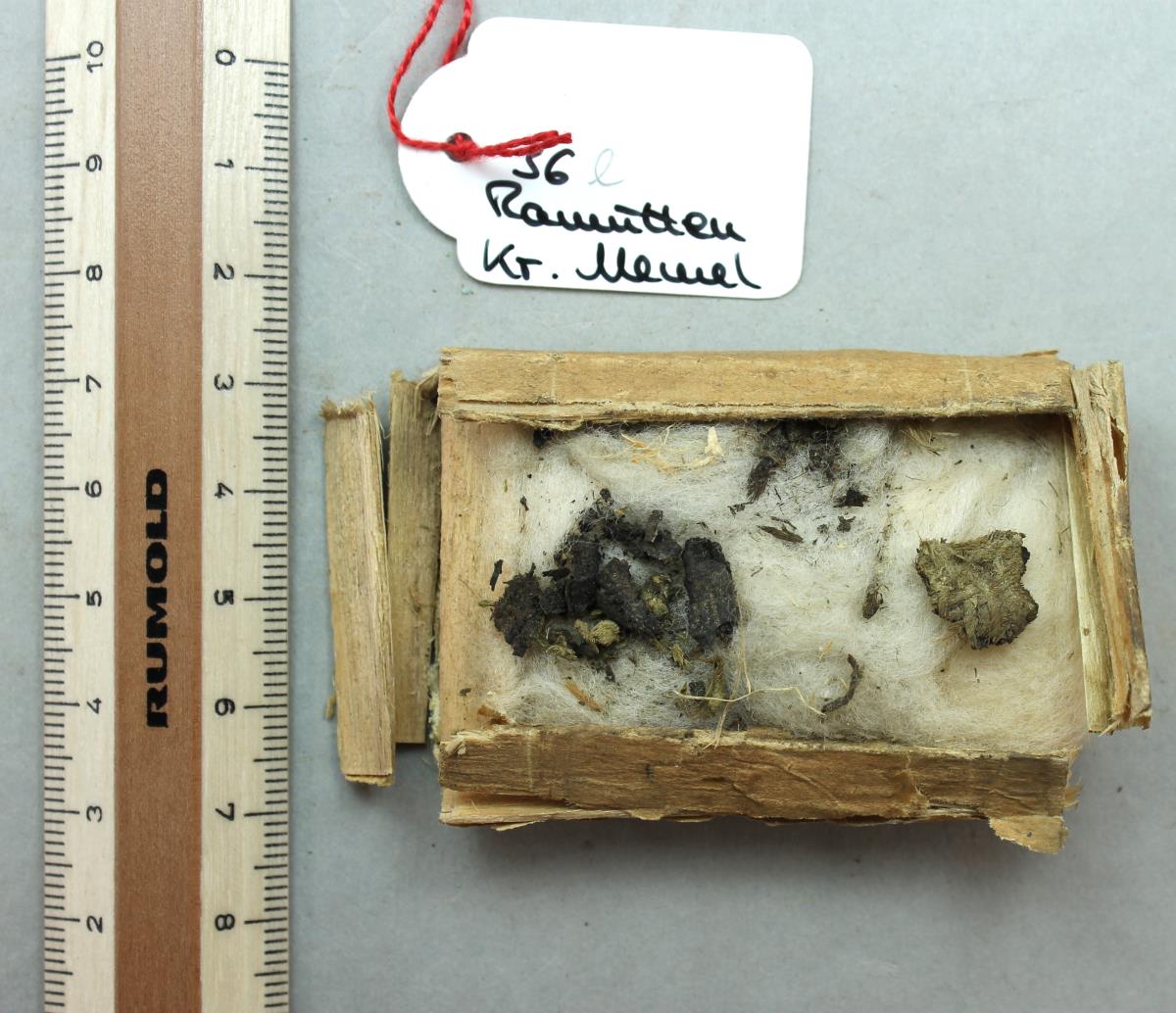 Textilfragment