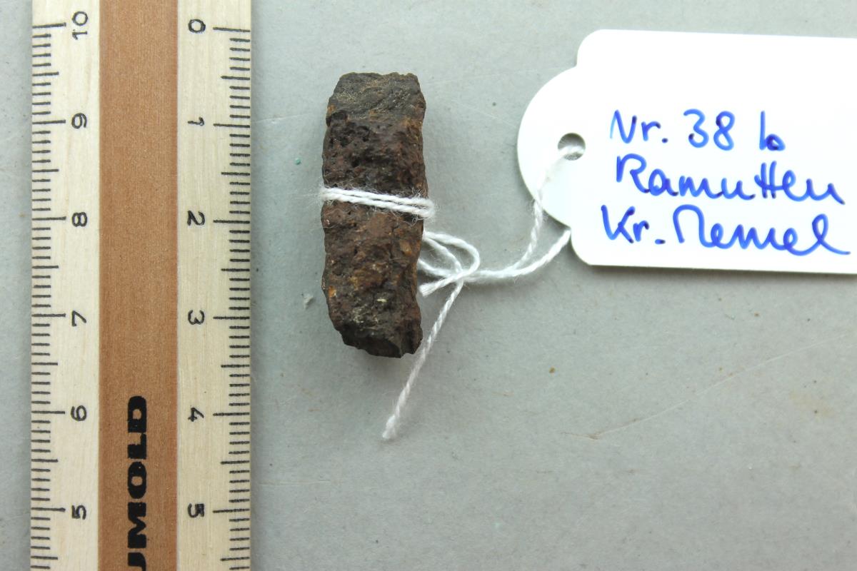 Ringtrensenfragment