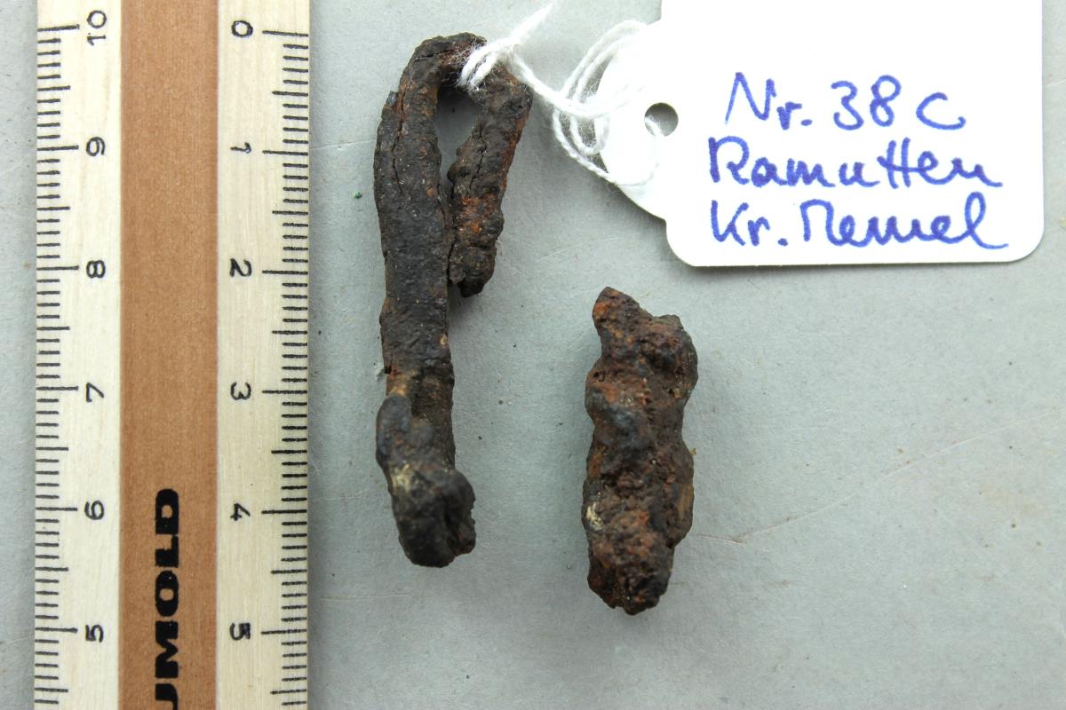 Ringtrensenfragment