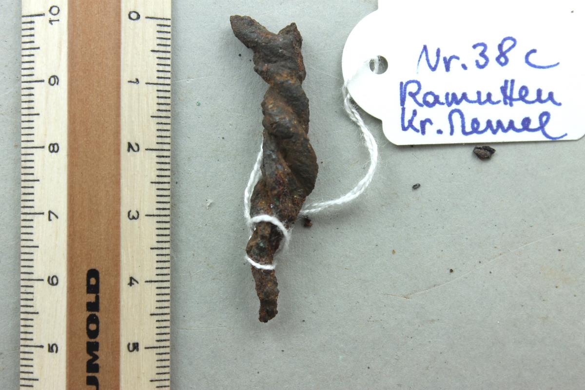 Ringtrensenfragment