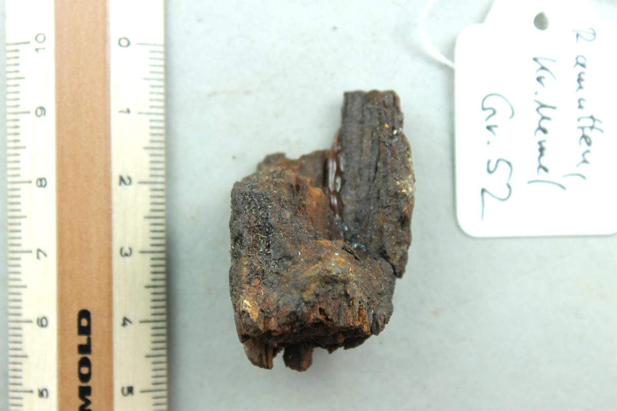 Lanzenspitzenfragment