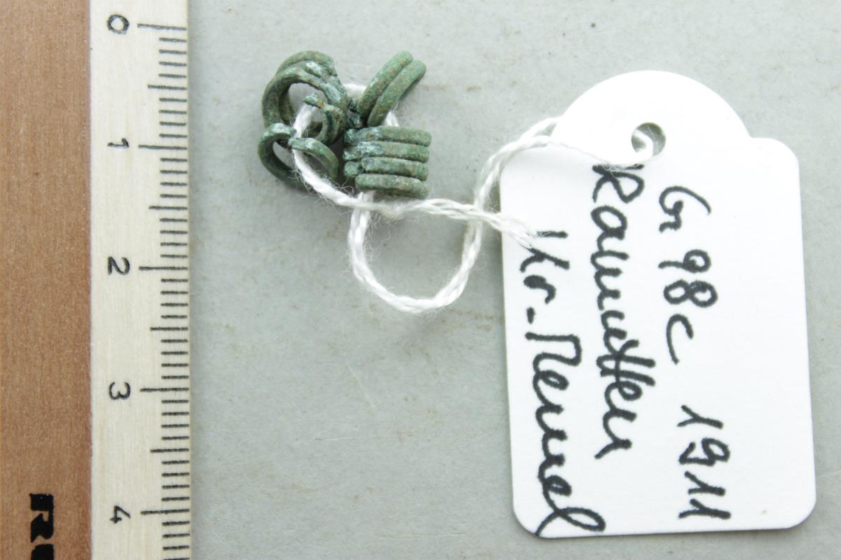Ringglieder