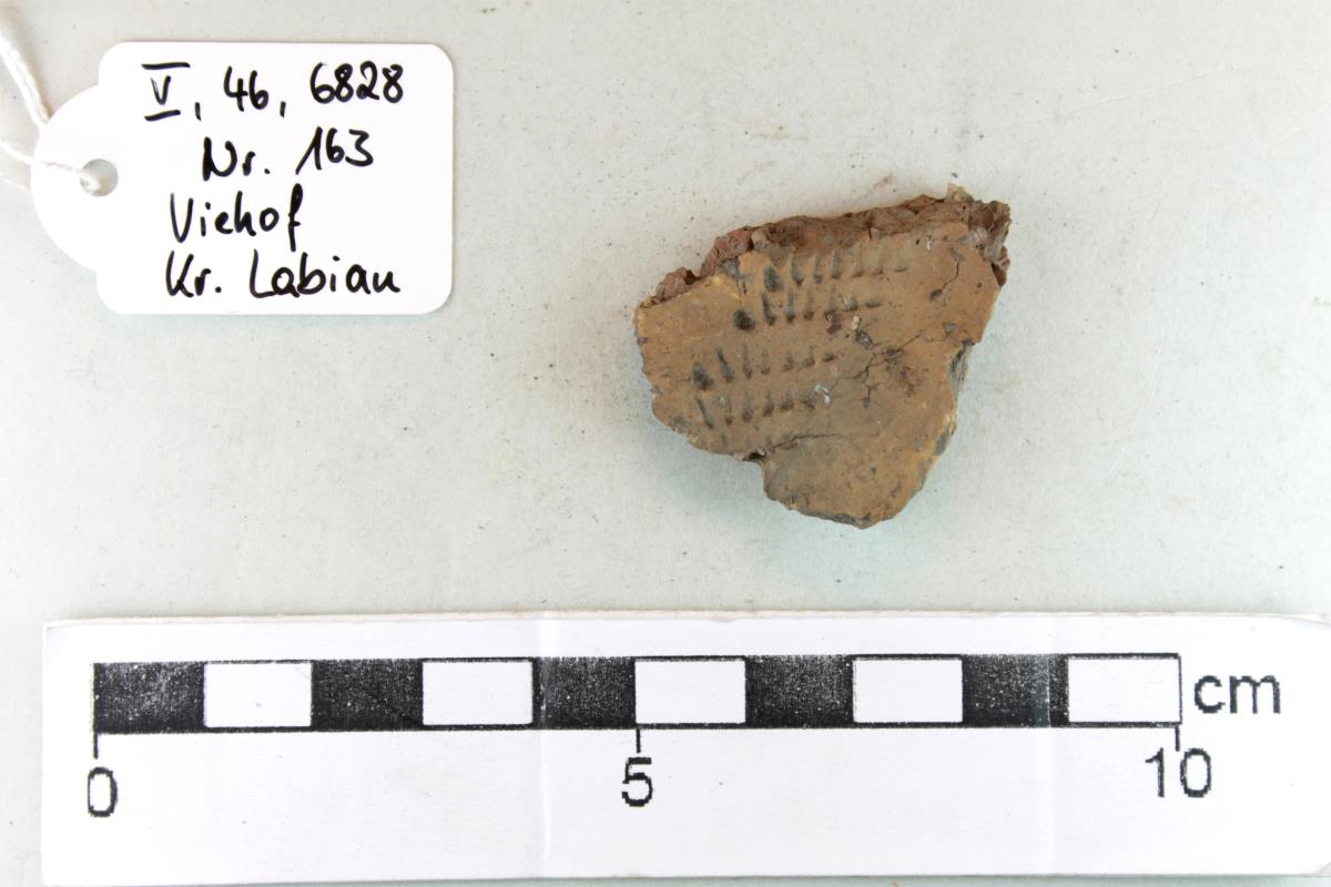 Gefäßfragment