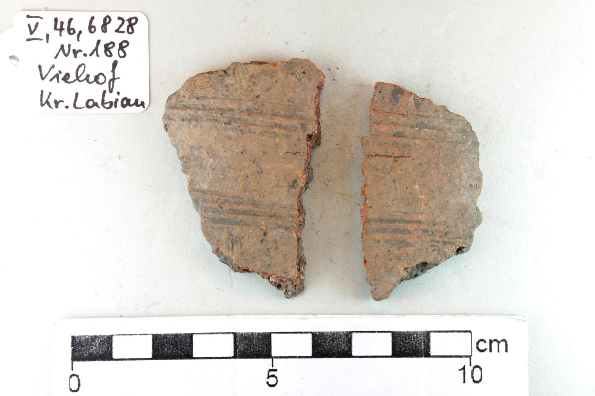 Gefäßfragment