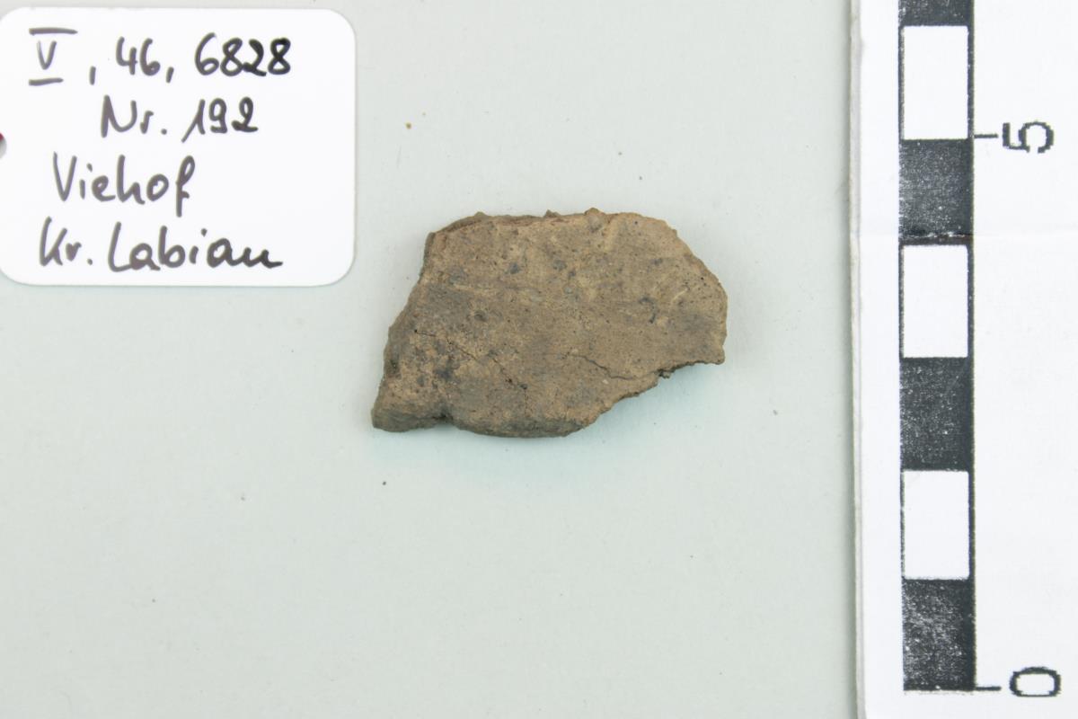 Gefäßfragment