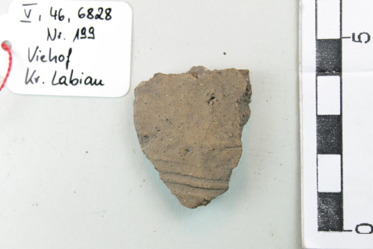 Gefäßfragment