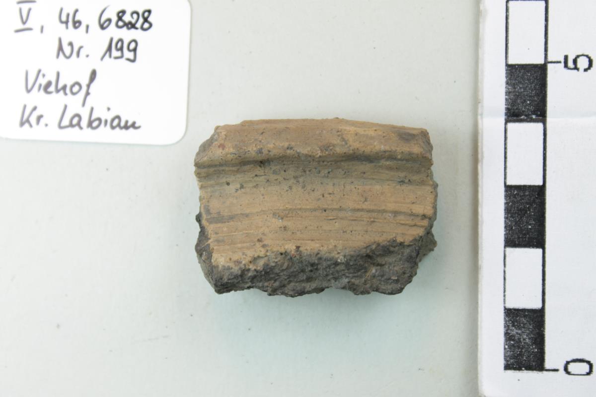 Gefäßfragment