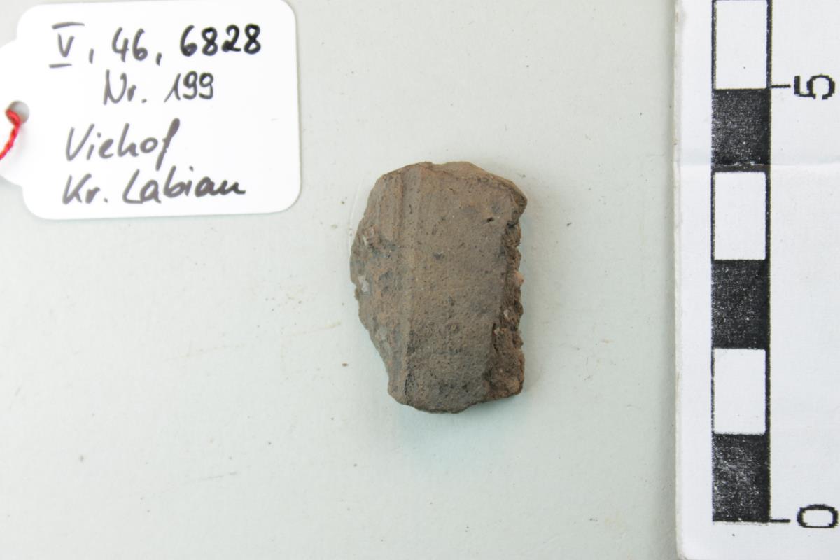 Gefäßfragment