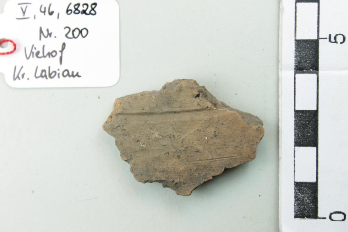 Gefäßfragment