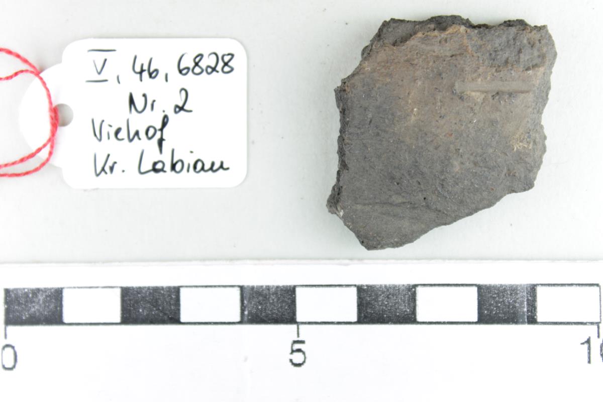 Gefäßfragment