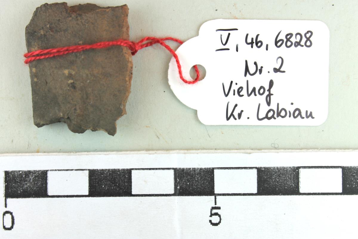 Gefäßfragment