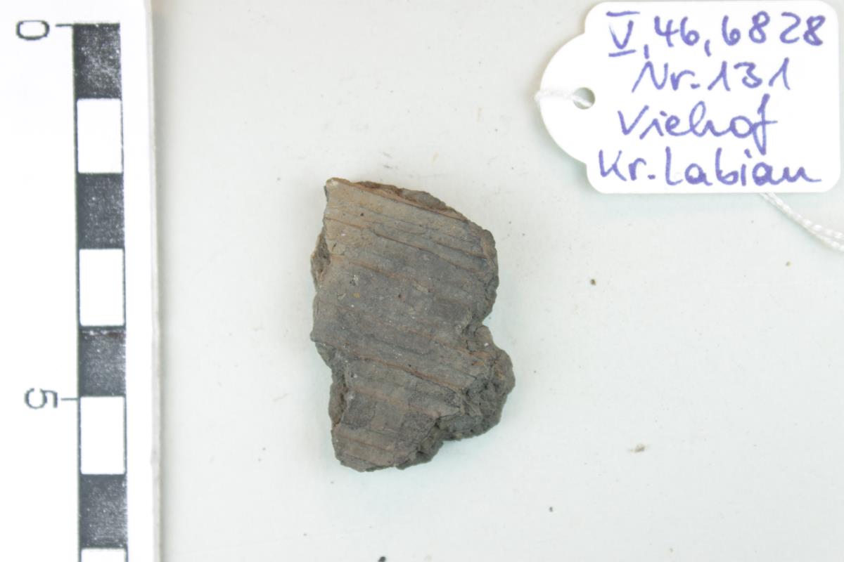 Gefäßfragment