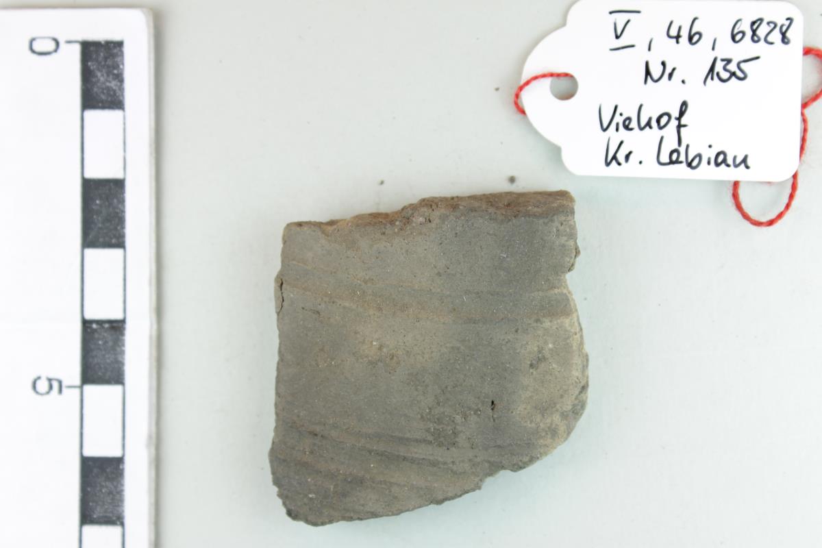 Gefäßfragment
