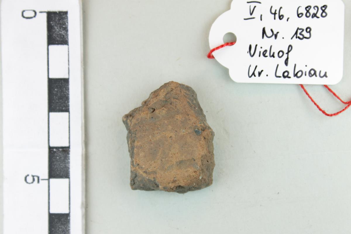 Gefäßfragment