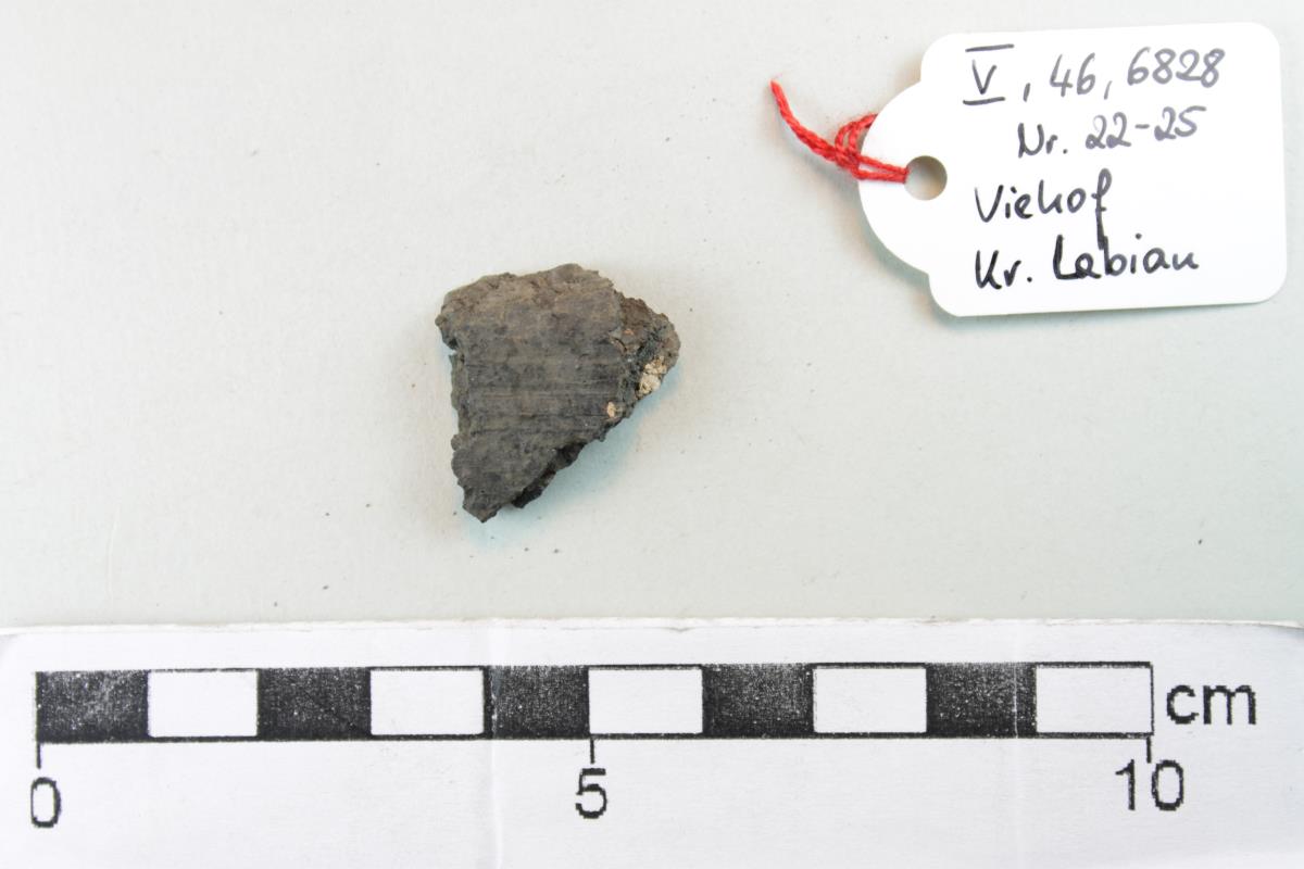 Gefäßfragment