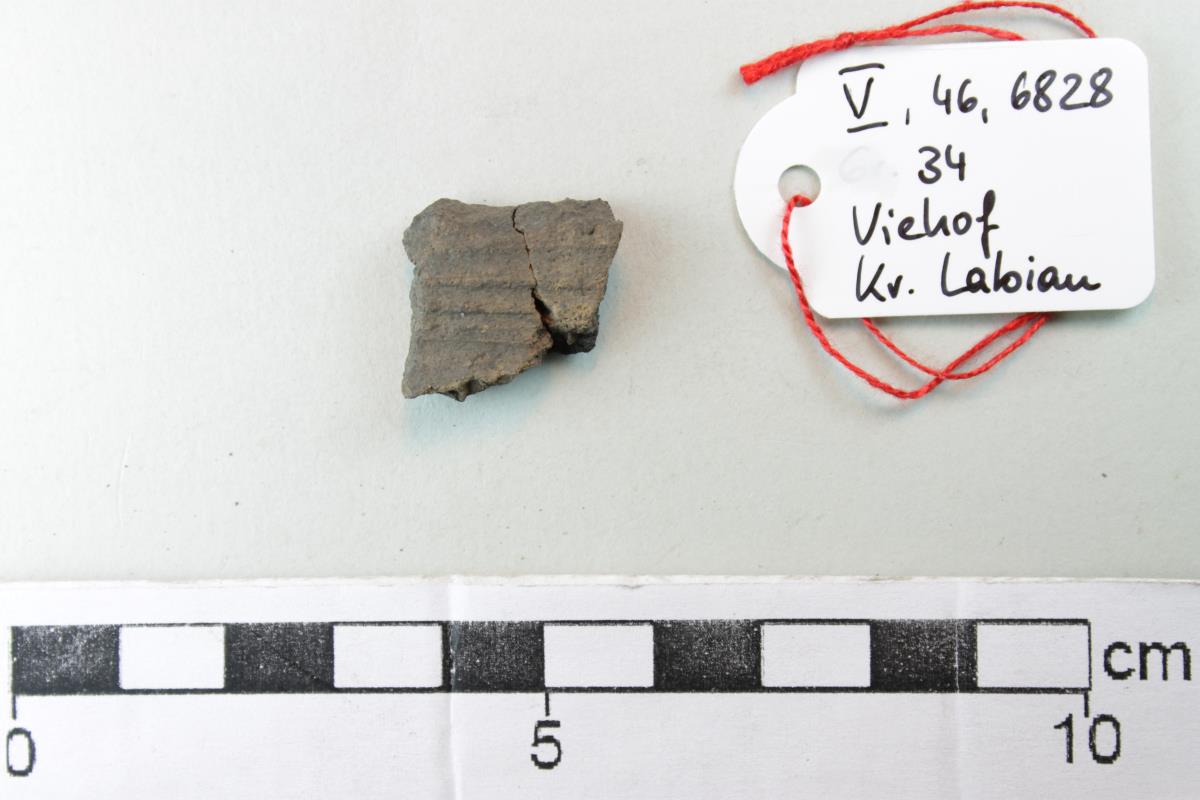 Gefäßfragment