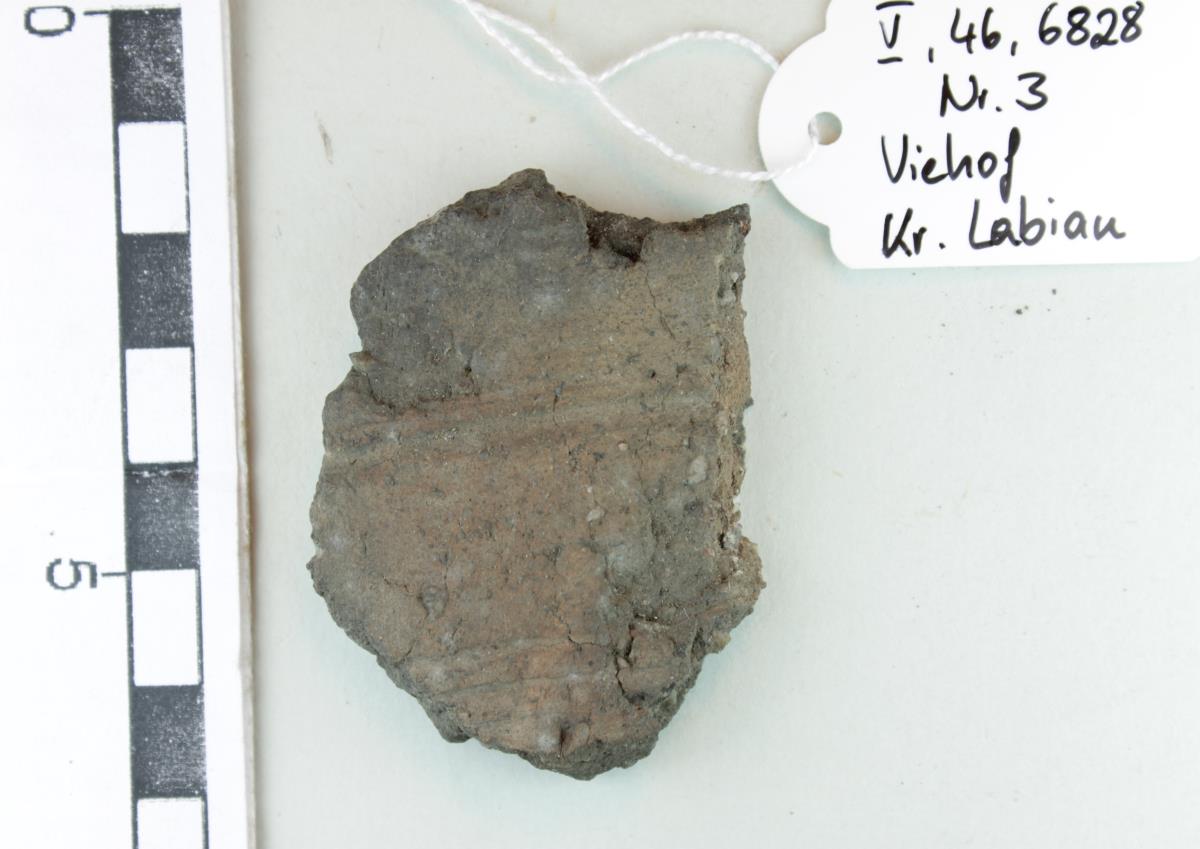 Gefäßfragment
