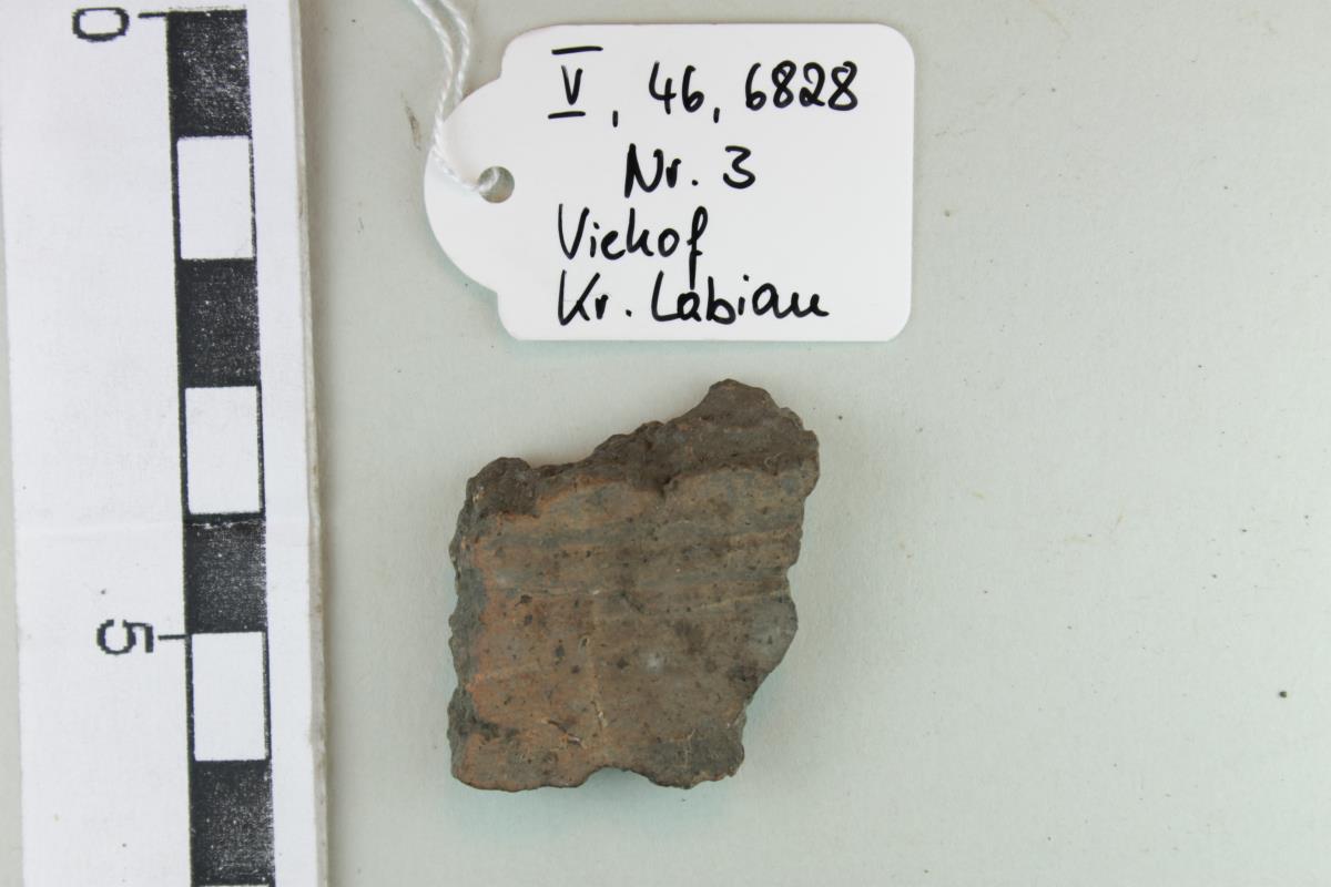 Gefäßfragment