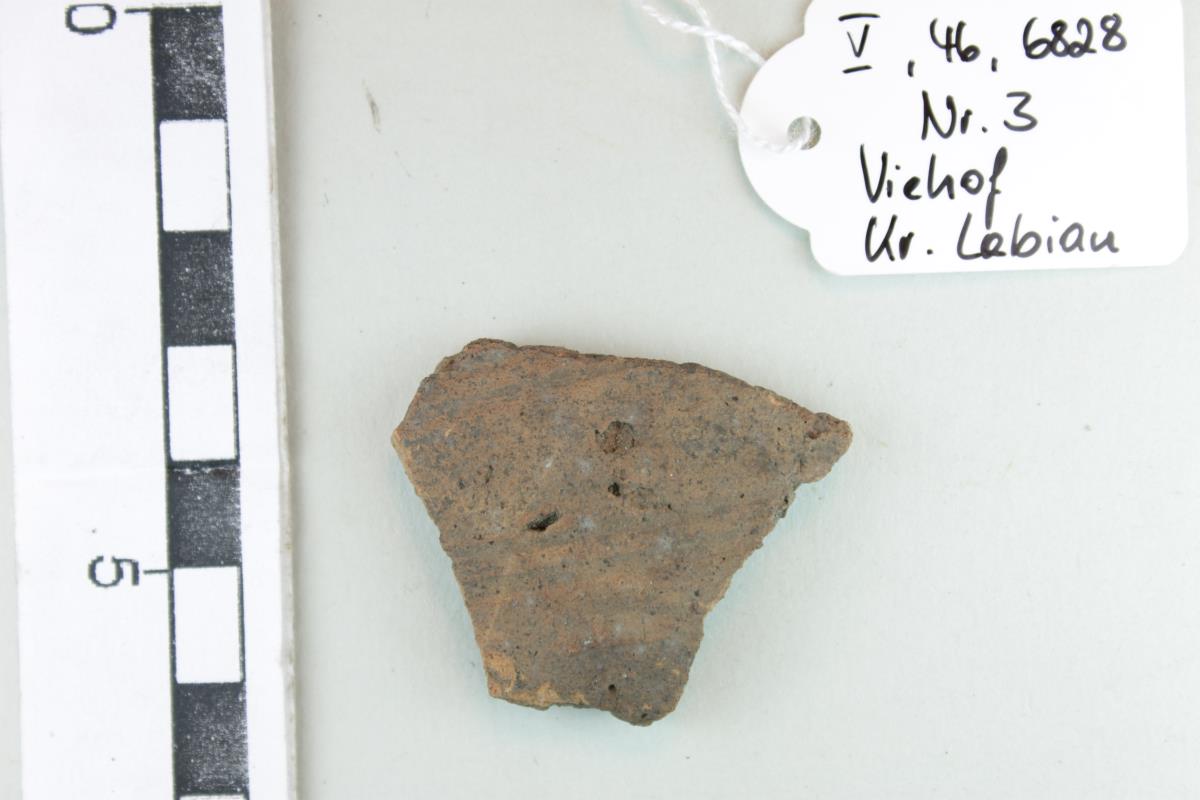 Gefäßfragment