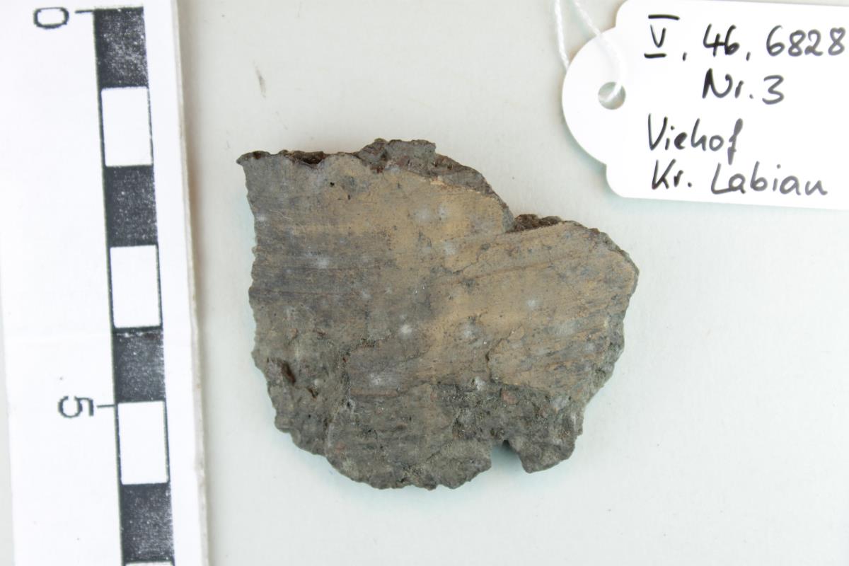 Gefäßfragment