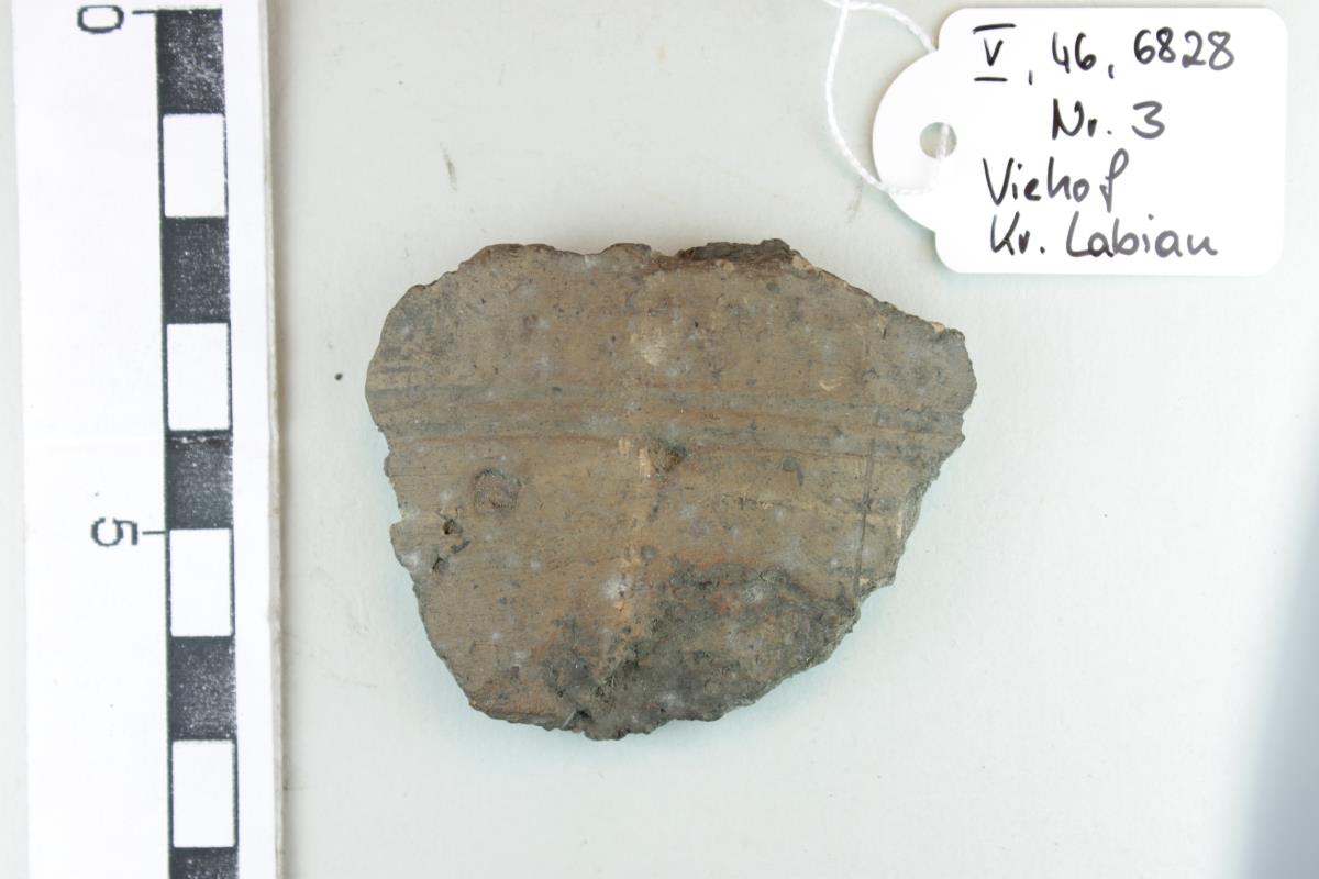 Gefäßfragment