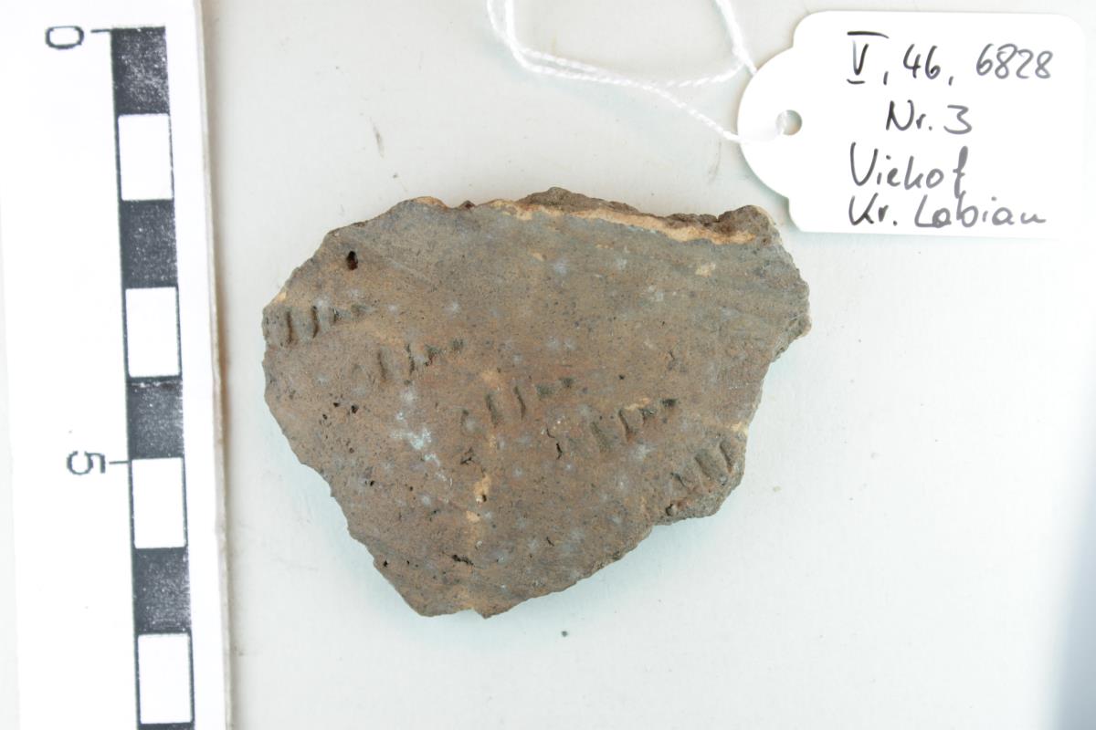 Gefäßfragment