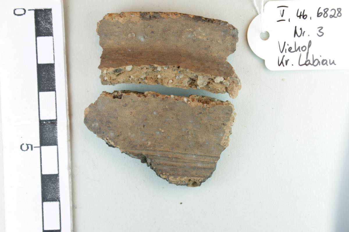 Gefäßfragment