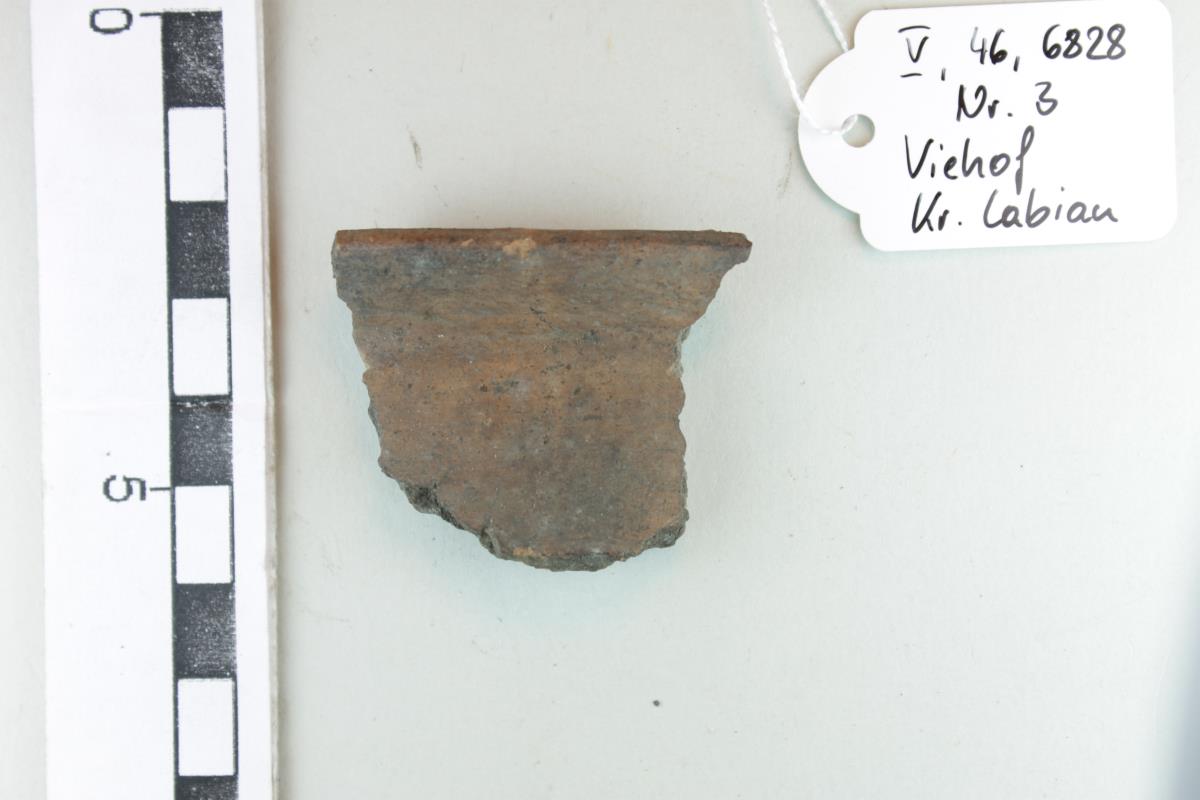 Gefäßfragment