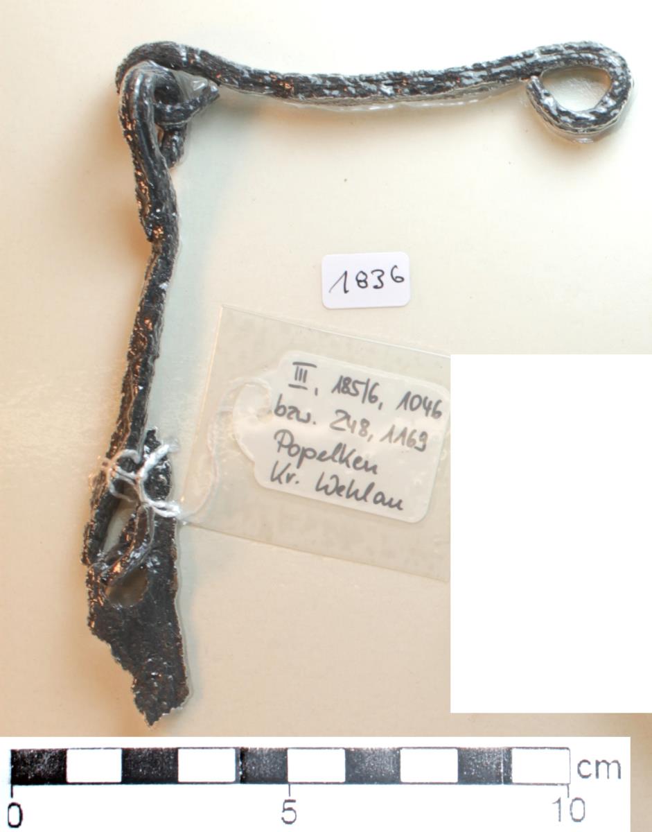 Knebeltrensenfragment
