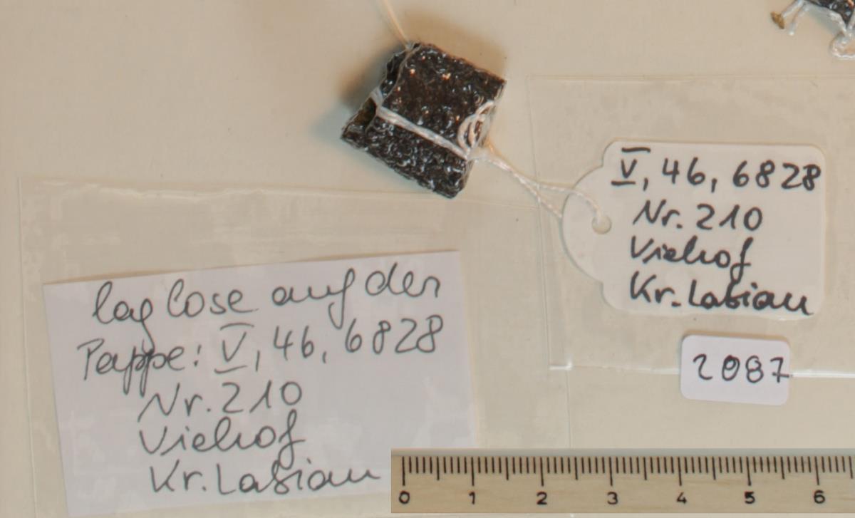 Steigbügelfragment