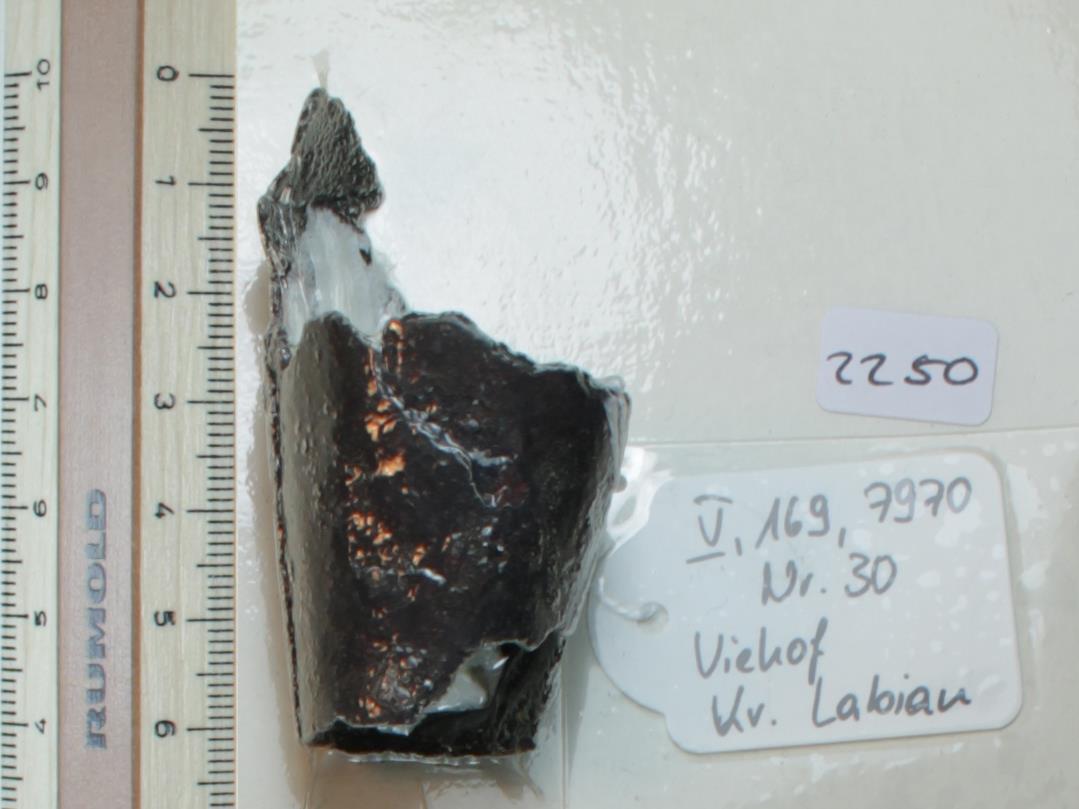Glockenfragment vom Zaumzeug