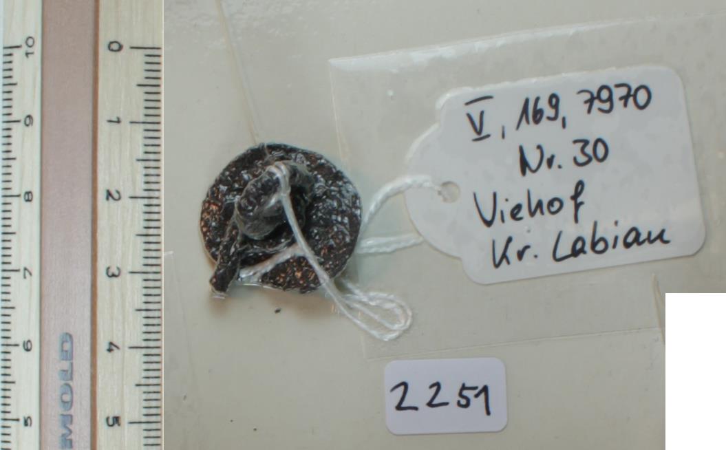 Glockenfragment vom Zaumzeug