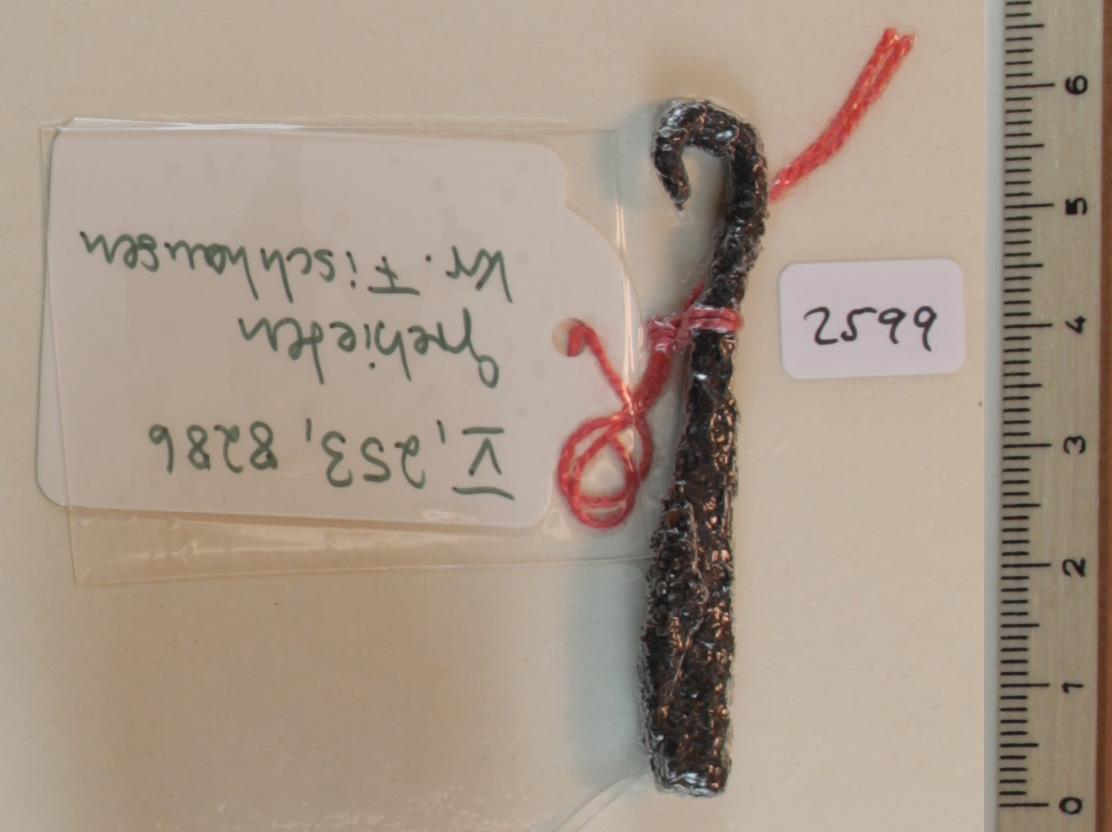 Trensenfragment