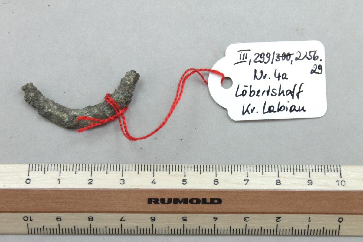 Ringfibelfragment