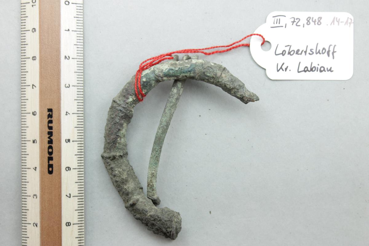 Ringfibel