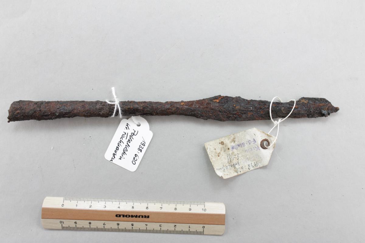 Lanzenspitze