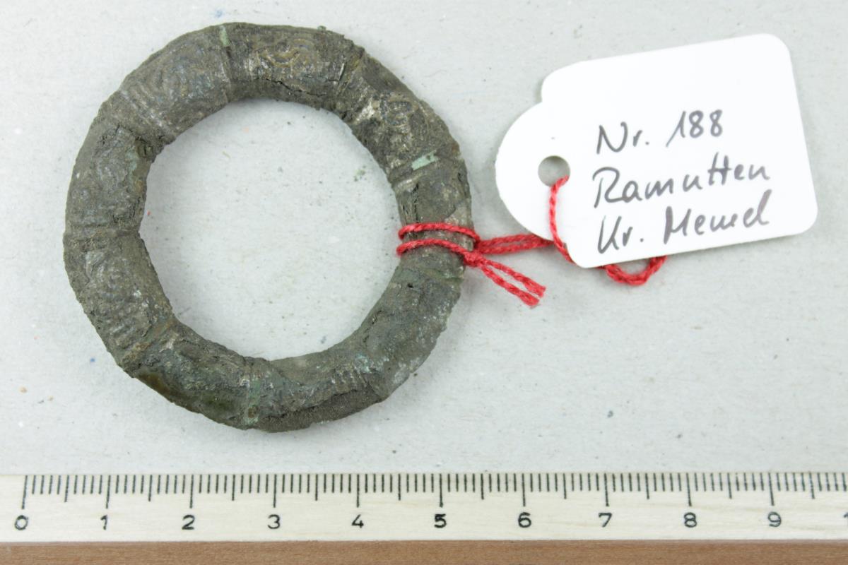 Ringfibel
