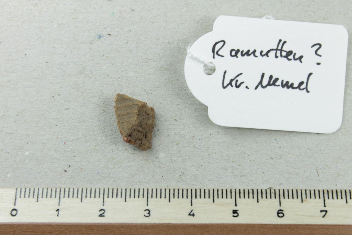 Gefäßfragment