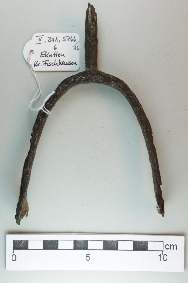 Stachelsporn