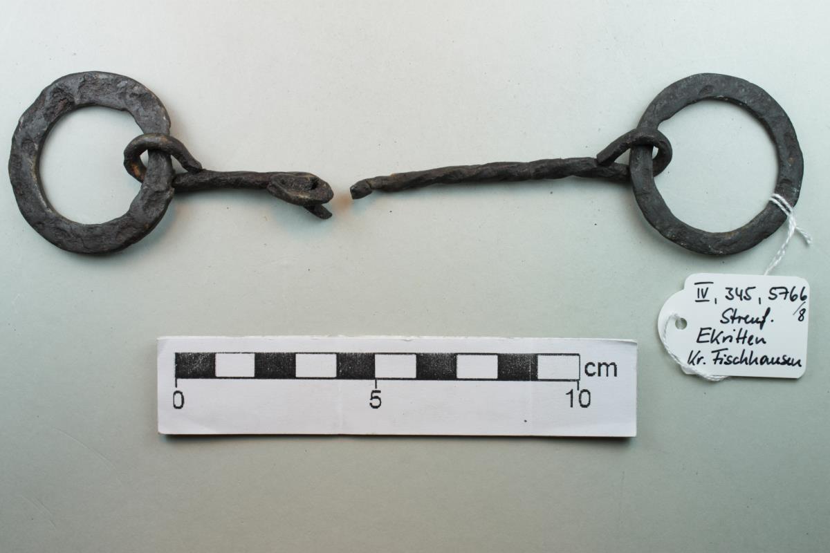 Ringtrense
