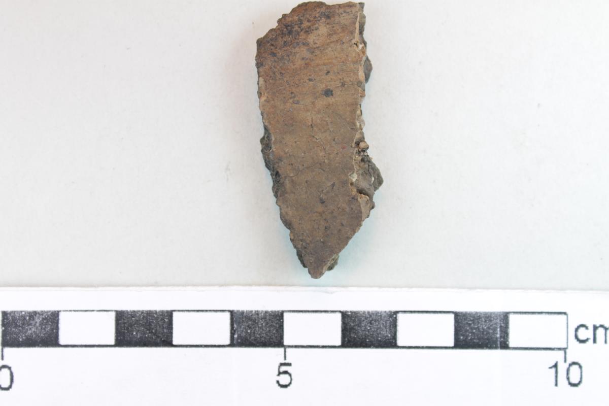 Gefäßfragment