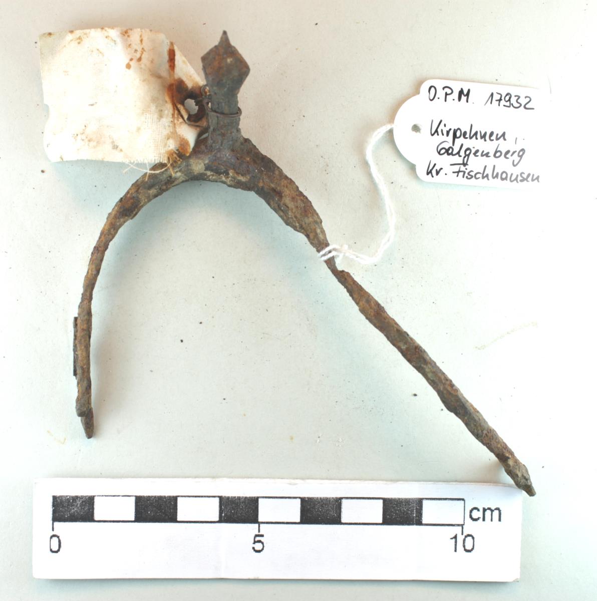 Stachelsporn