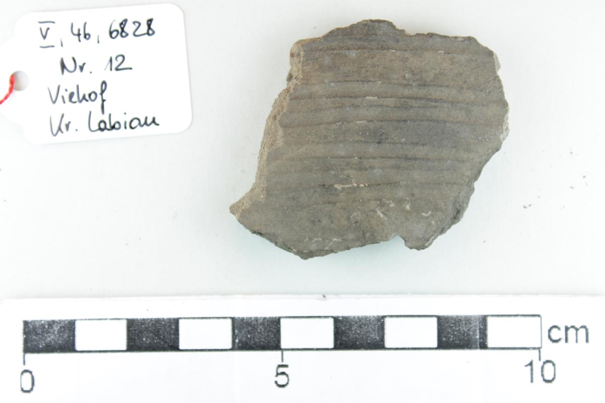 Gefäßfragment