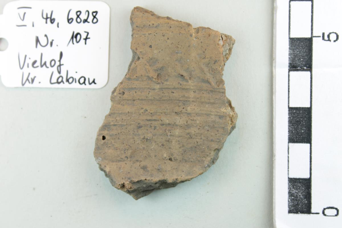 Gefäßfragment